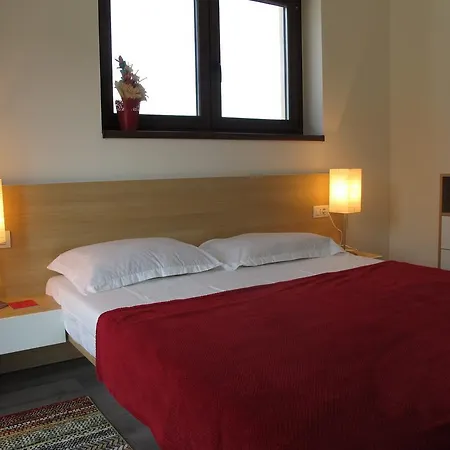 Puzzle Apartment Timisoara